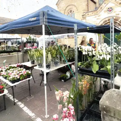 Paddington Markets