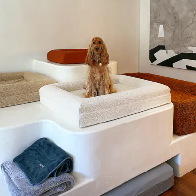 Moose sitting in a bouclé Barney Bed